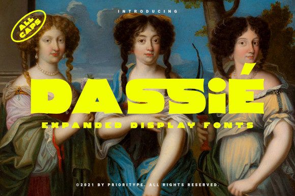 How Dassie Font Gave My Small Business a Bold New Look